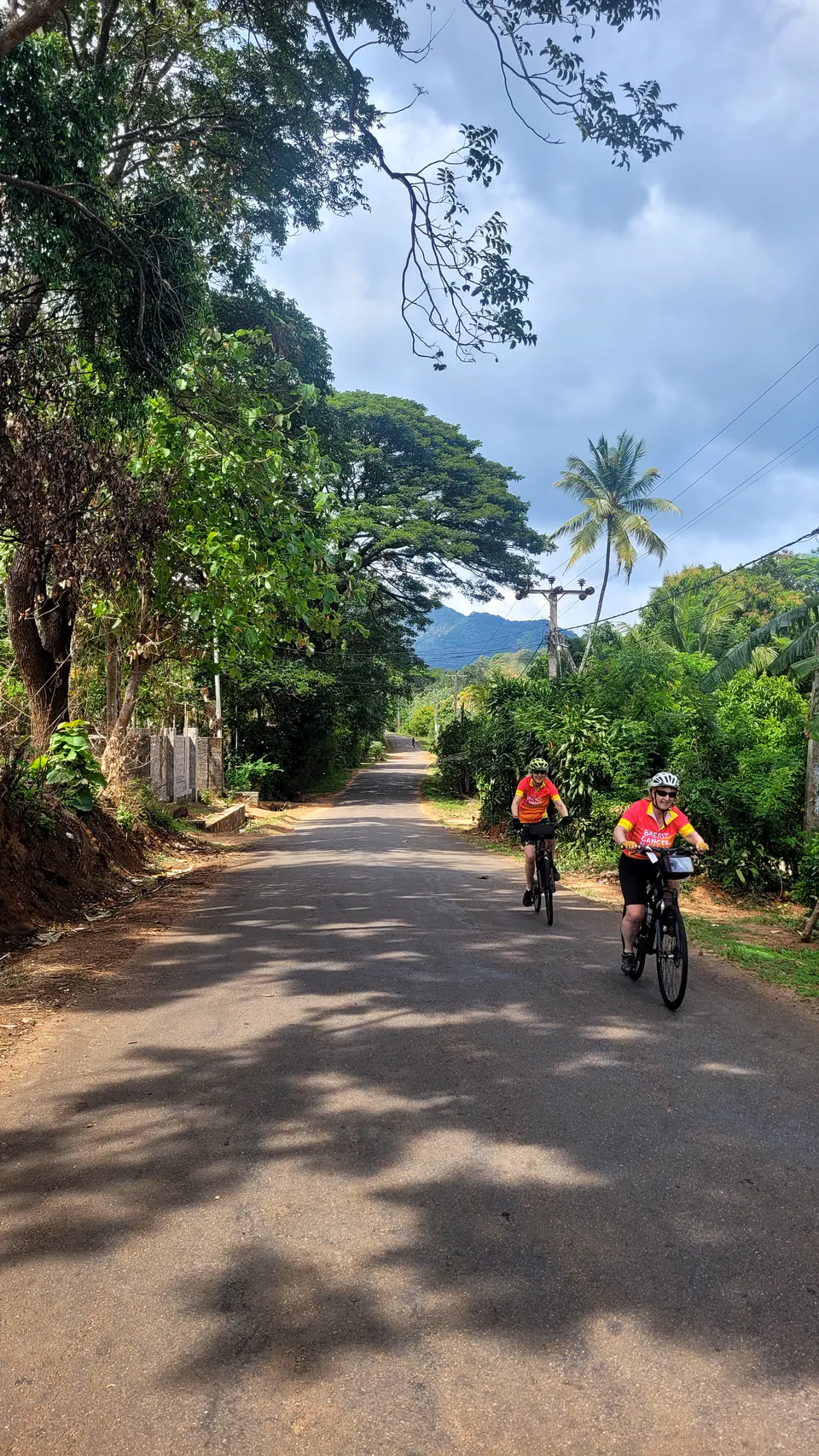 Two cyclists riding a shaded village lane beneath rain trees, a mountain beyond