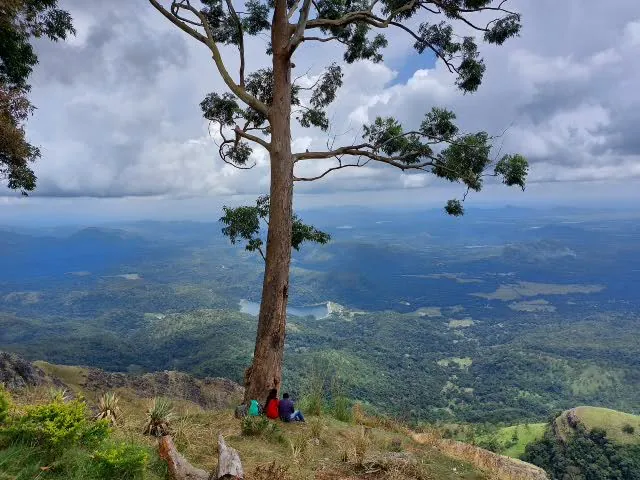 Three walkers resting beneath a lone tree on the escarpment edge, looking over the plains