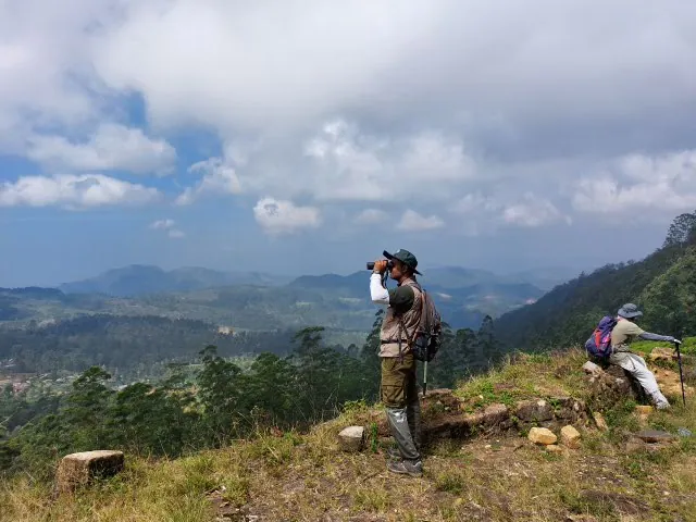 A guide scanning the valley with binoculars on the Pekoe Trail