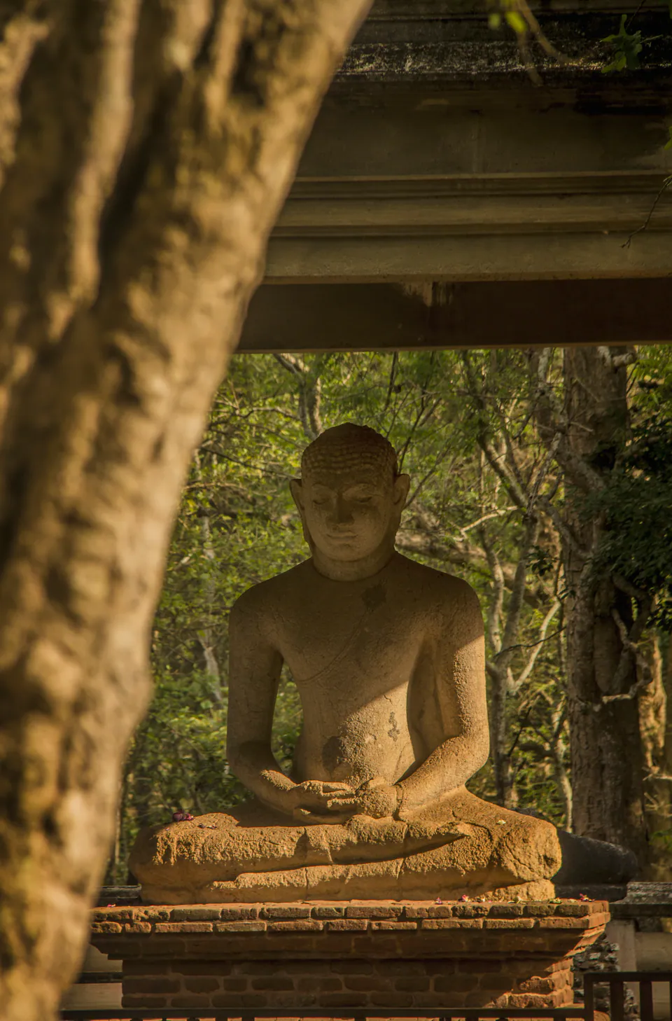 The Samadhi Buddha in warm dappled light, framed by a tree trunk and the roof of its shelter