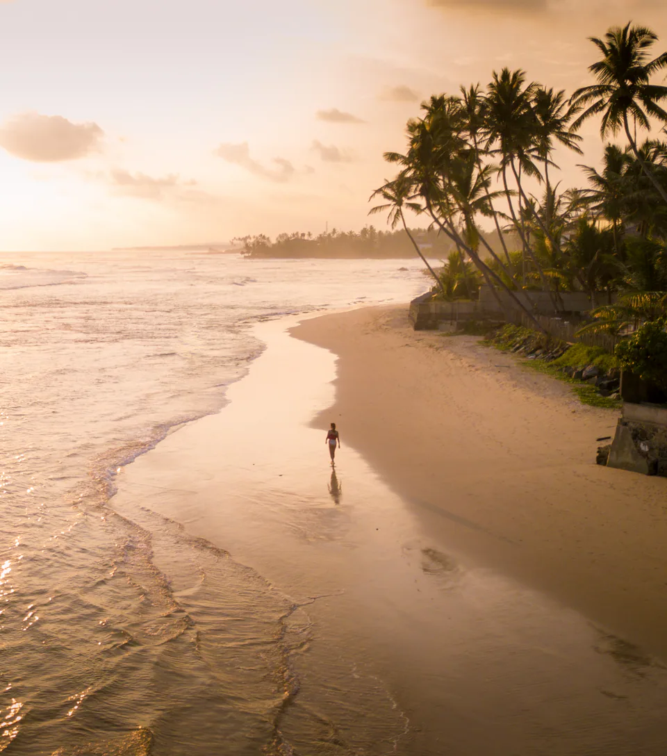 A lone walker on a golden beach fringed with palms at sunrise, seen from above