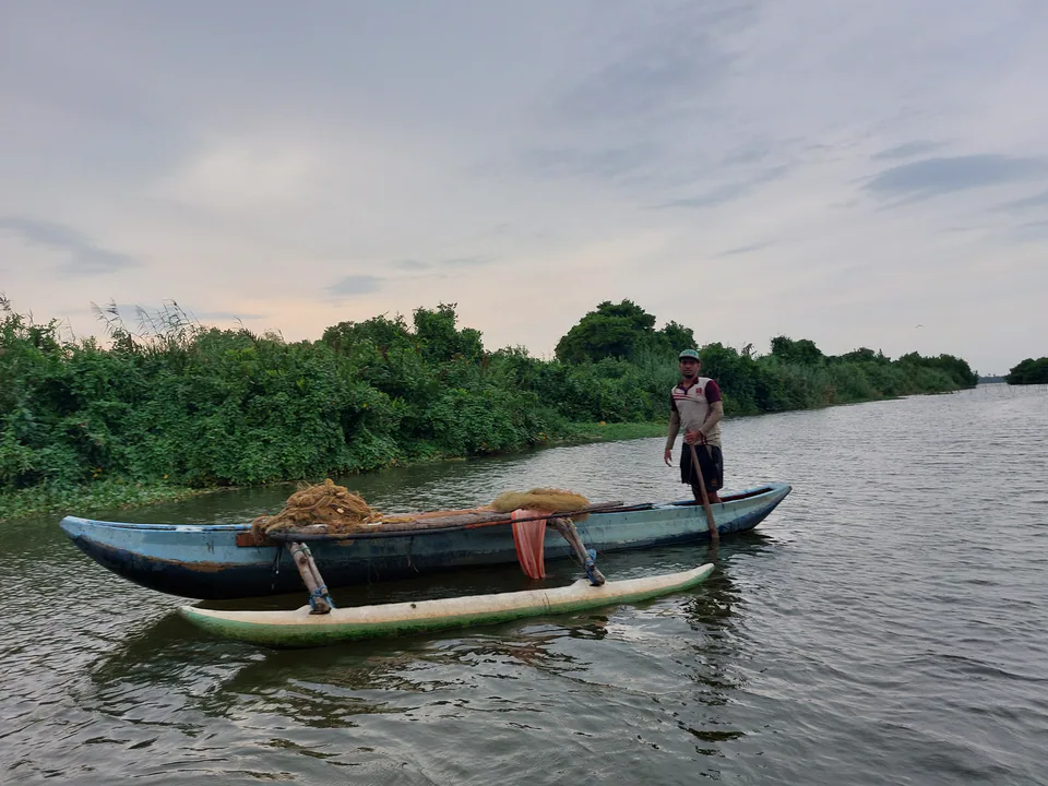 A fisherman poling his blue outrigger canoe across the calm Negombo lagoon
