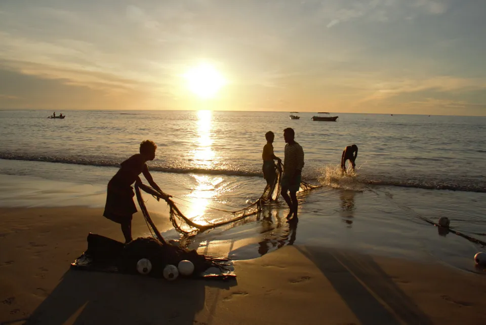 Fishermen silhouetted hauling a net in the shallows against a low golden sun