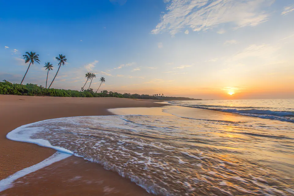 The sun setting over the sea beyond a wide golden beach and a palm-lined shore