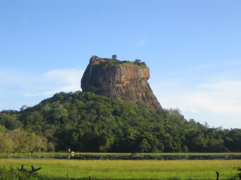 Sigiriya rock fortress rising above dense forest beyond a bright green paddy field