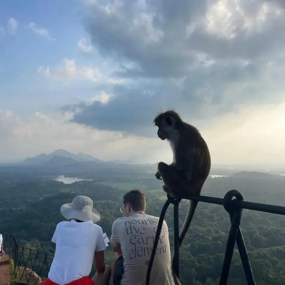 Two young travellers looking out over forest and distant hills from a rock summit, a toque macaque perched on the railing beside them