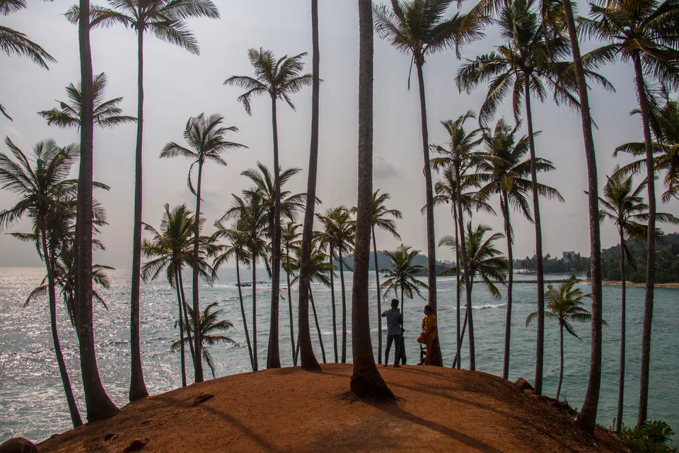 Tall coconut palms on a red-earth headland above the sea, two figures silhouetted at the edge