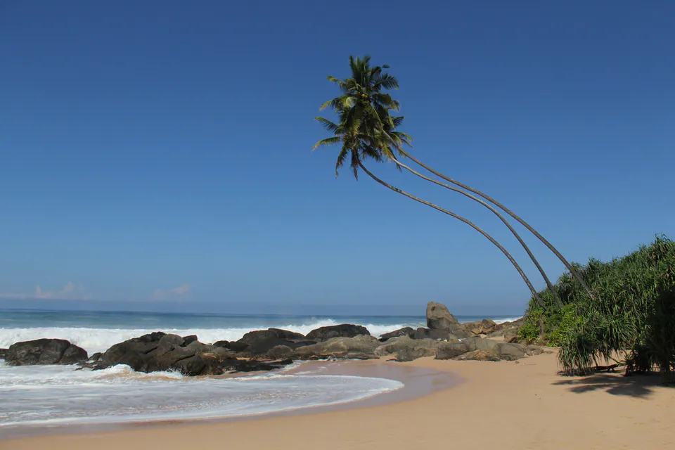 Three coconut palms leaning over a golden beach with dark rocks and white surf under a deep blue sky