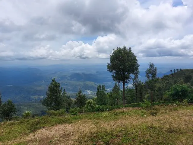 A grassy hilltop with pines under dramatic clouds, the lowlands blue in the distance