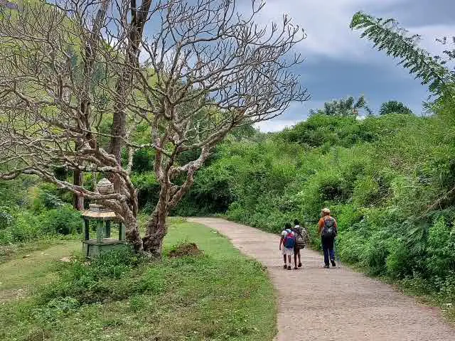 Walkers on a village lane passing a small roadside Hindu shrine beneath a frangipani tree