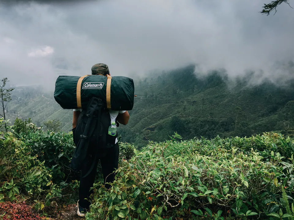 A trekker carrying a tent bag looks out over a misty valley from a ridge of tea bushes